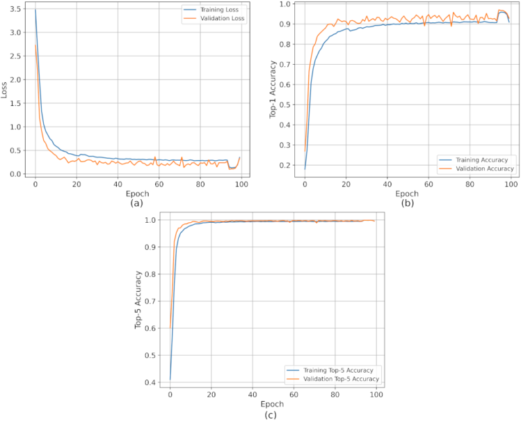 vit3_train_val_loss_acc_small